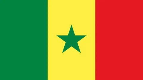 “南通国际马拉松盛大开赛”