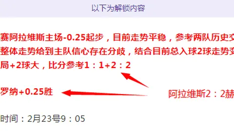 南通支云足球俱乐部引进亚历山大·帕洛切维奇租借球员